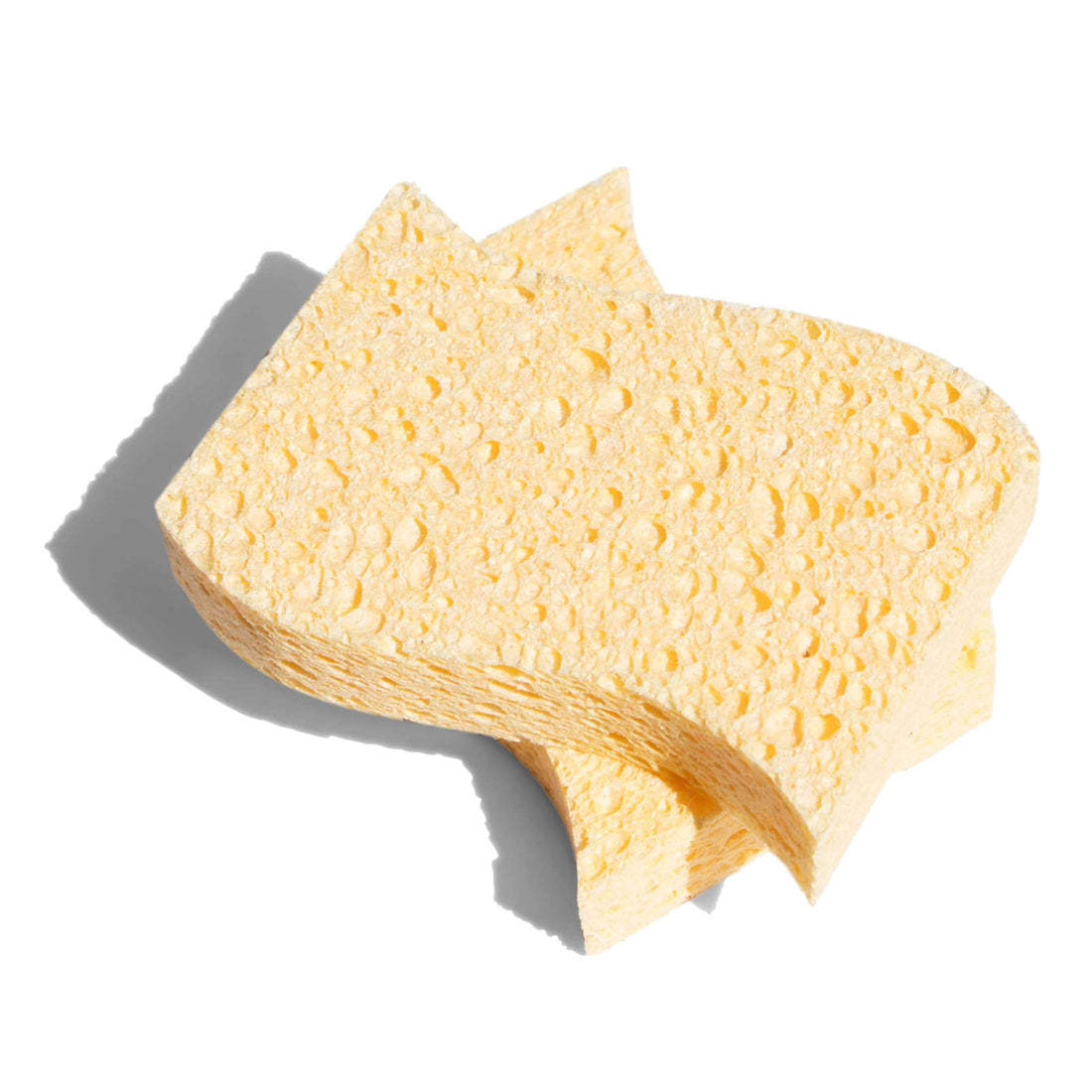Biodegradable Sponges